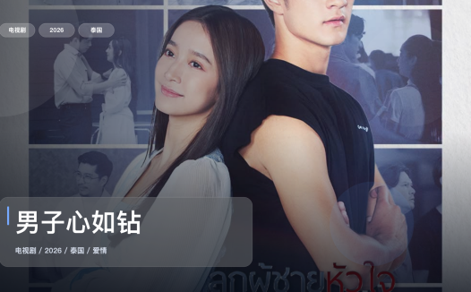 追到停不下来！《男子心如钻》 2026 1080P中文字幕 未删减 限时转存