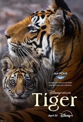 老虎 Tiger (2024)丨8.3分丨冷门高分纪录片推荐