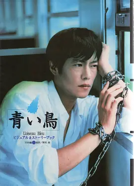 青鸟 (1997)丨8.5分丨丰川悦司/夏川结衣主演 全11集