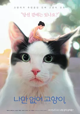 只有我没有猫 (2019)丨6.9分丨冷门奇幻电影推荐