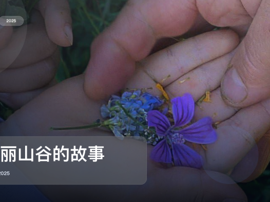 冷门但真好看!《美丽山谷的故事》 2025 中文字幕 未删减 限时转存
