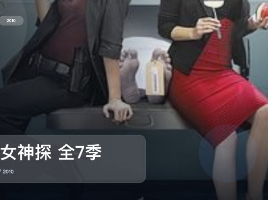 最近追疯的一部美国悬疑剧《妙女神探 全7季》 2010 未删减 限时转存
