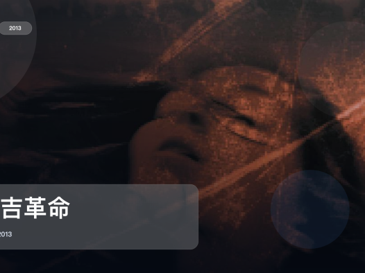 法国剧情片里这部最值得看《辛吉革命》 2013 未删减 限时转存