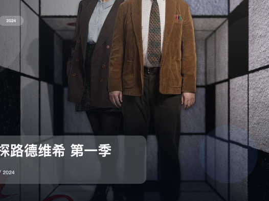 强推!《谜探路德维希 第一季》 2024 未删减 限时转存