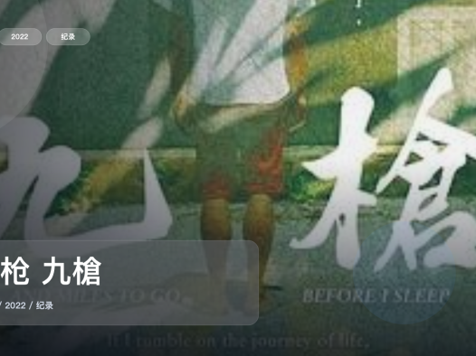 中国台湾纪录片里这部后劲很大《九枪 九槍》 2022 未删减 限时转存