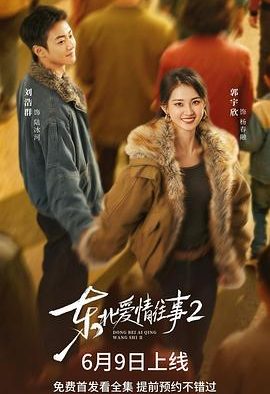 《东北爱情往事2》百度云